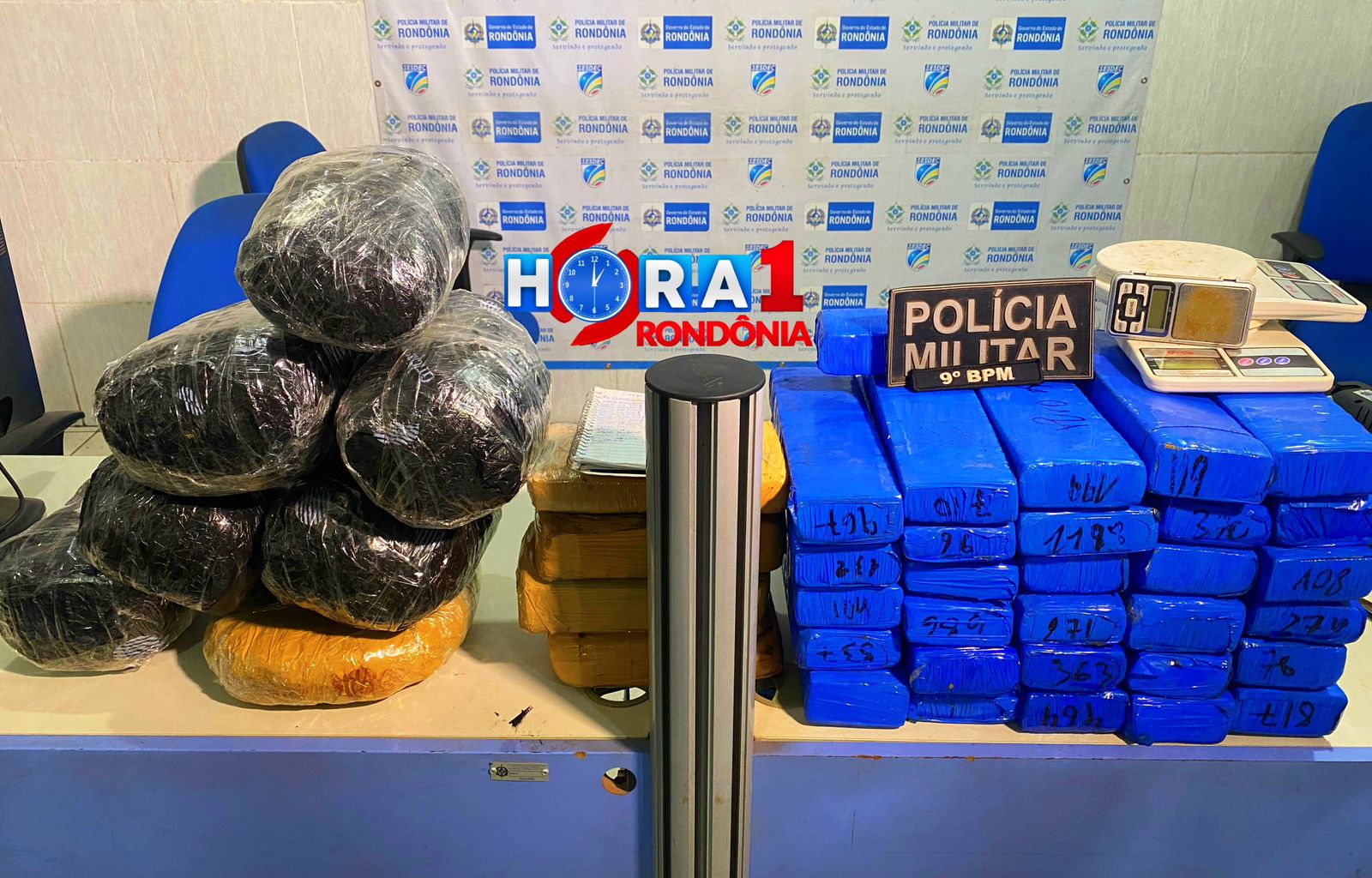 Polícia recebe denúncia e apreende quase 50 kg de maconha em residência na zona sul de Porto Velho